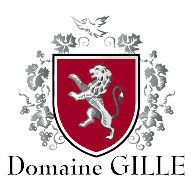 Product image for Domaine Gille Cote de Nuits-Villages Rouge 2022 750ml