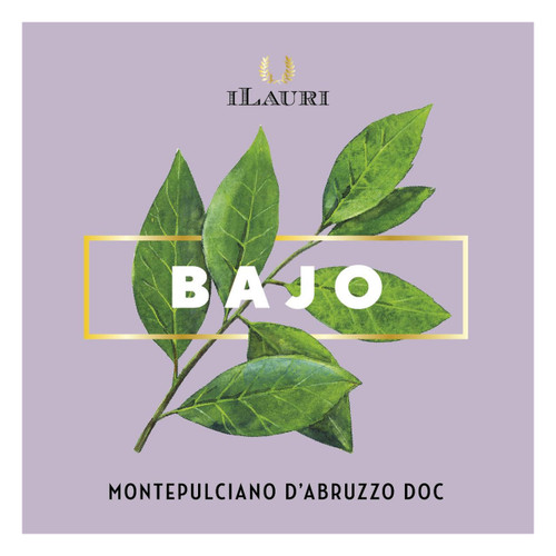 Product image for Azienda Vinicola Ilauri Montepulciano d'Abruzzo Bajo 2024 750ml