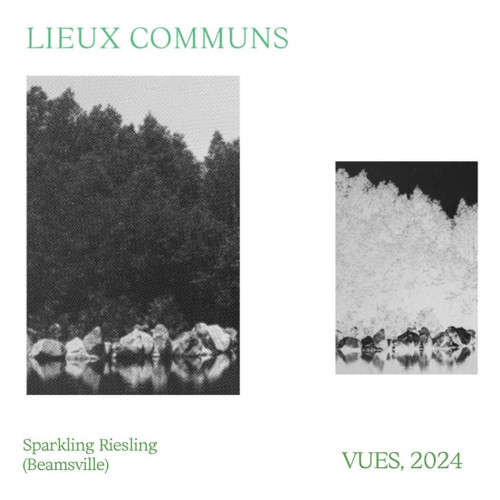 Product image for Lieux Communs Sparkling Riesling Vues 2024 750ml
