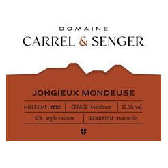 Product image for Domaine Carrel & Senger Vin de Savoie Mondeuse Jongieux 2024 750ml