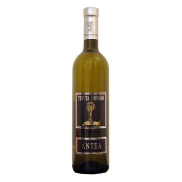 Product image for Tenuta Anfosso Antea Vino Bianco 2023 750ml