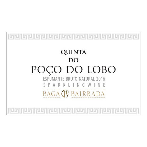 Product image for Quinta Do Poco do Lobo Bairrada Espumante Bruto Natural Baga 2022 750ml