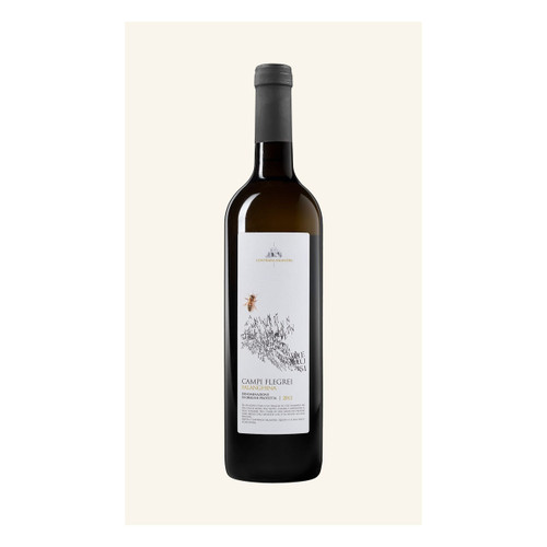 Product image for Contrada Salandra Campi Flegrei Falanghina (2022) 2022 750ml