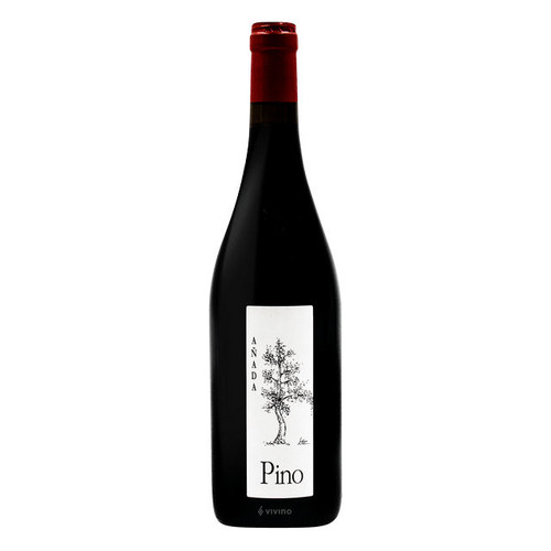 Product image for Bodegas Ponce Pino Manchuela 2024 750ml