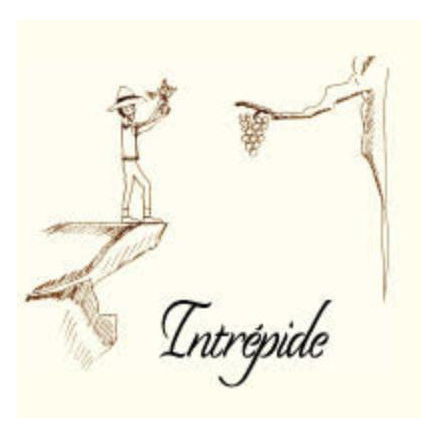 Product image for Domaine Adrien Dacquin Intrépide 2024 750ml