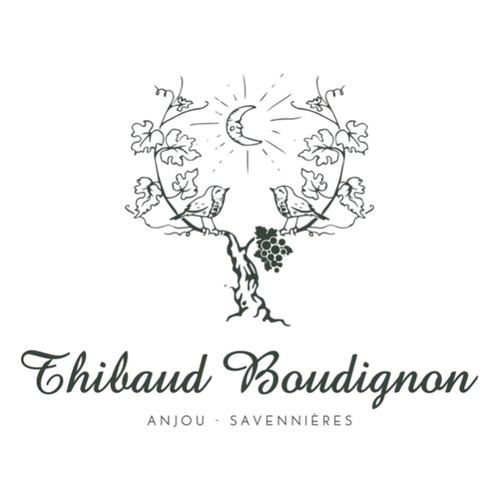 Product image for Thibaud Boudignon Savennières Clos De La Hutte Franc De Pied 2023 750ml