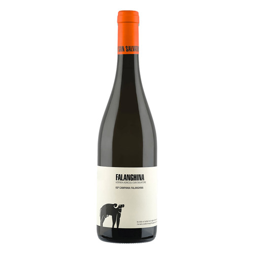 Product image for San Salvatore Campania Falanghina 2025 750ml