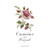 Alvaro Palacios Camins del Priorat 2022 750ml