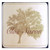Clos Saron Carte Blanche 2021 750ml