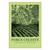 Product image for Mother Rock Semillon Force Celeste Swartland 2022 750ml