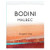 Product image for Bodini Malbec Mendoza 2023 750ml