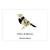 Product image for Vina Zorzal Garnacha Blanca 2023 750ml