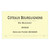 Product image for Pierre Boisson Coteaux Bourguignons En Buzigny Blanc 2023 750ml