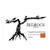 Product image for Bedrock Wine Company Evangelho Vineyard Heritage Contra Costa County 2023 750ml