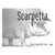 Product image for Scarpetta Pinot Grigio 2023 750ml