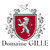 Product image for Domaine Gille Vosne-Romanee Basses Maizieres 2022 750ml