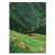 Product image for Kelley Fox Wines Gruner Veltliner Willamette Valley 2025 750ml