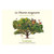 Product image for Mercier-Vallee Touraine Sauvignon Blanc La Closerie Imaginaire 2025 750ml