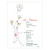Podere Le Boncie Le Trame IGP Toscana 2023 750ml