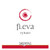 Product image for Domaine Skouras Syrah Fleva 2024 750ml