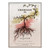 Product image for Cremisan Al Jazer Rouge Bethlehem 2025 750ml
