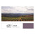 Product image for Galil Mountain Winery Upper Galilee Syrah 2023 750ml