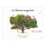 Product image for Mercier-Vallée Chenin Blanc La Closerie Imaginaire 2025 750ml