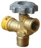 Rego Service Valve w/ Relief