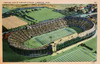 Harvard Stadium Postcard