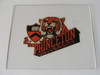 Princeton University Lucite Tiger Image