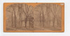 Princeton College 1875 Stereoview