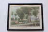 Yale University Framed Color Lithographic Print
