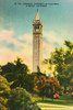 Campanile Postcard - UC Berkeley