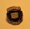 Vintage Yale University Lux Et Veritas School Crest Lapel Pin