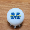  University of Michigan Shooter Marble