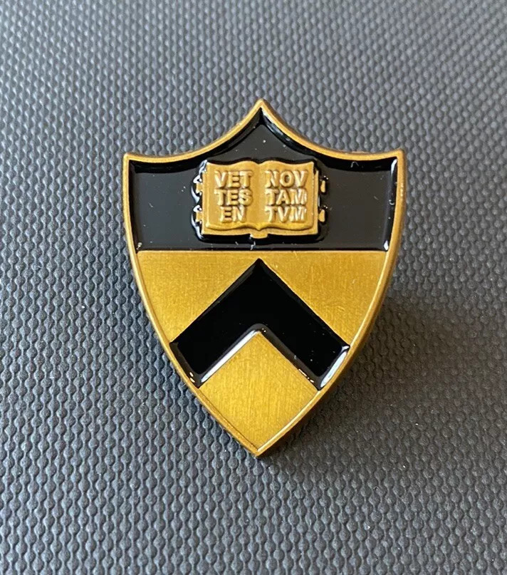 Vintage Princeton Pin - Collectible Ivy