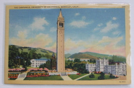 UC Berkeley Linen Postcard The Campanile