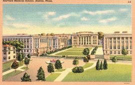 Harvard Medical School Linen Postcard