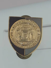 MIT Vintage Pin