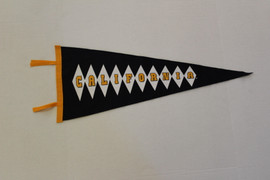 Vintage U.C. Berkeley Wool Pennant - Blue and Yellow - California