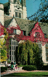 Branford College Courtyard, Yale, Vintage Postcard
