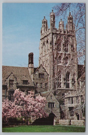 Yale Postcard - Wrexham Tower, Saybrook College