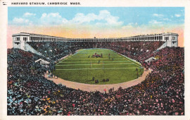 Harvard Stadium Postcard