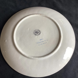 Vintage Princeton University School Crest Plate