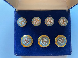 Columbia University Vintage Ben Silver Button Set