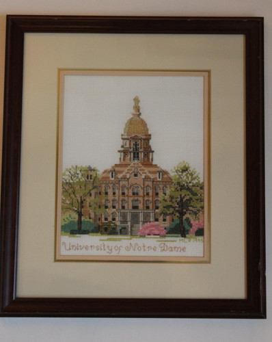 Notre Dame Dome Framed Print