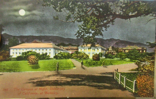 Night View Postcard - University of California, Berkeley