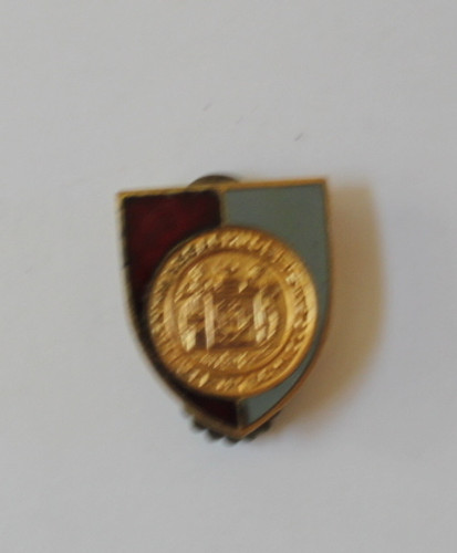 M.I.T. Vintage Pin