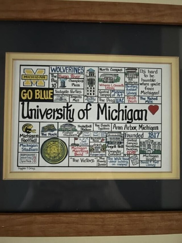 University of Michigan Framed Print