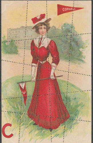 Vintage Cornell Perforated Postcard